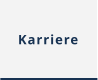 Karriere